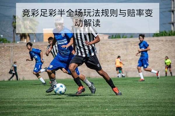 世界杯资格赛赛程积分与历史交锋速查